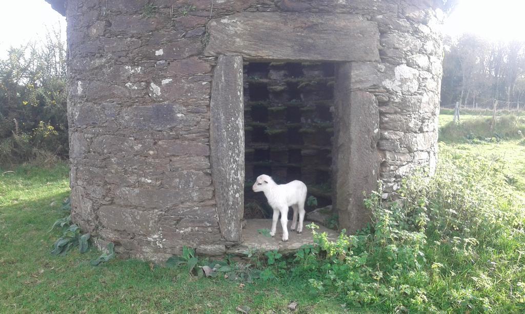 A Pena De Augasantas Vendégház Oca de Abaixo Kültér fotó